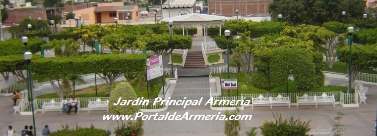 Armeria