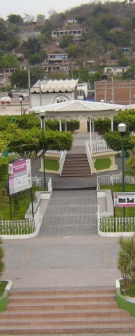 Jardin Armeria