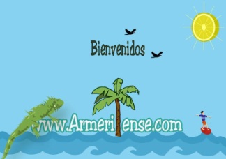 Logo Armeriense.com
