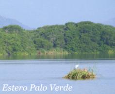 galeria1