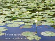 galeria1
