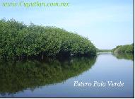 galeria1