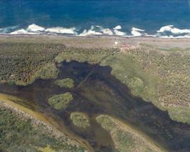 Estero